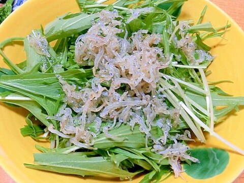 カリカリじゃこと水菜のサラダ